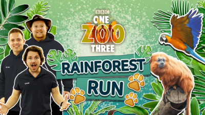 One Zoo Three - One Zoo Three: Rainforest Run