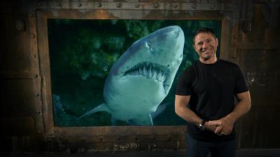 Deadly Mission Shark - Sharks: Everything you need to know