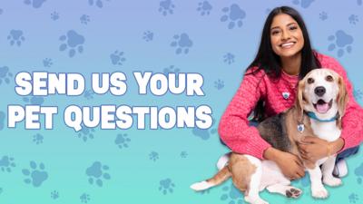 To the left, Blue Peter presenter Shini is cuddling Henry, the dog. The text reads 'Send us your pet questions'.