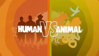 One Zoo Three - Human vs Animal Quiz