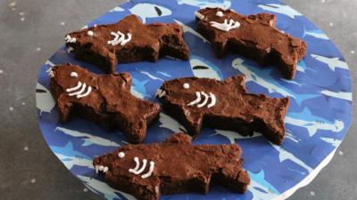 Matilda and the Ramsay Bunch - Shark Brownies