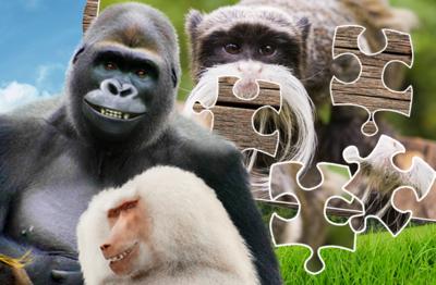 The Zoo - Jigsaw: The Zoo Animals