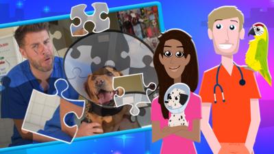 The Pets Factor - Jigsaw: The Pets Factor 
