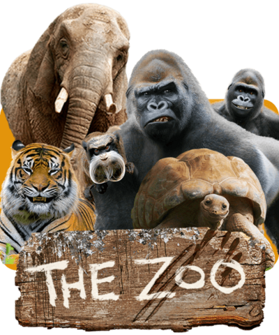 Zoo animals smiling together, a gorilla, elephant, tiger and tortoise.