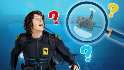 Andy's Aquatic Adventures - Spot the Difference Quiz