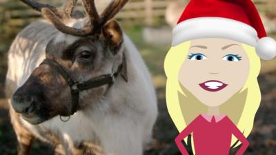 Maddie's Do You Know? - Maddie's Reindeer Quiz
