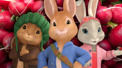 Peter Rabbit - Radish Raid Quiz