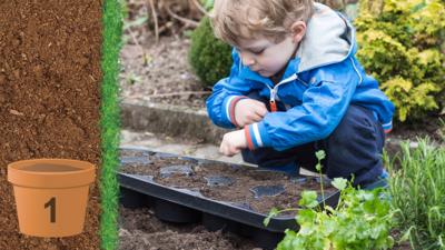 A little boy planting seeds in a plastic tray