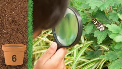 A child looking at a butterfly through a magnifying glass