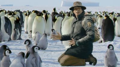 Andy's Global Adventures - Cute Emperor Penguins 