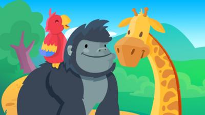 Gorilla, Giraffe and a Parrot