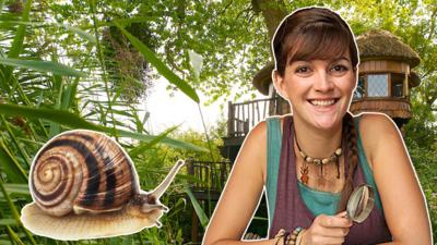Minibeast Adventure with Jess - Snail Adventure