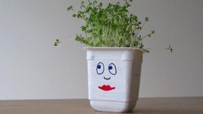 Mr Bloom's Nursery - Cress Heads Make