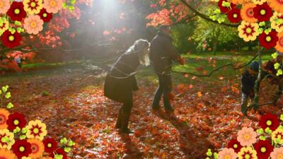 Down on the Farm - Autumn Walks Poem