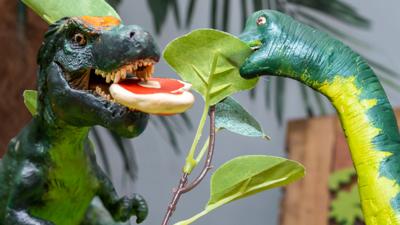 Andy's Dino Toybox - Hungry Dinosaurs Quiz