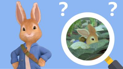 Peter Rabbit - Peter Rabbit Hide and Seek