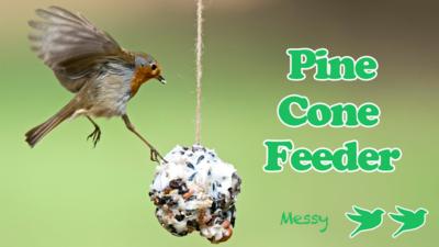 Bird feeders make, showing a robin landing on a pine cone feeder, with the text 'Pine Cone Feeder' and two bird stamps saying 'Messy'.