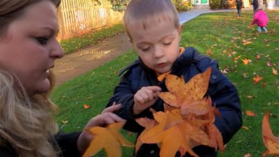 Time for School  - Counting Leaves