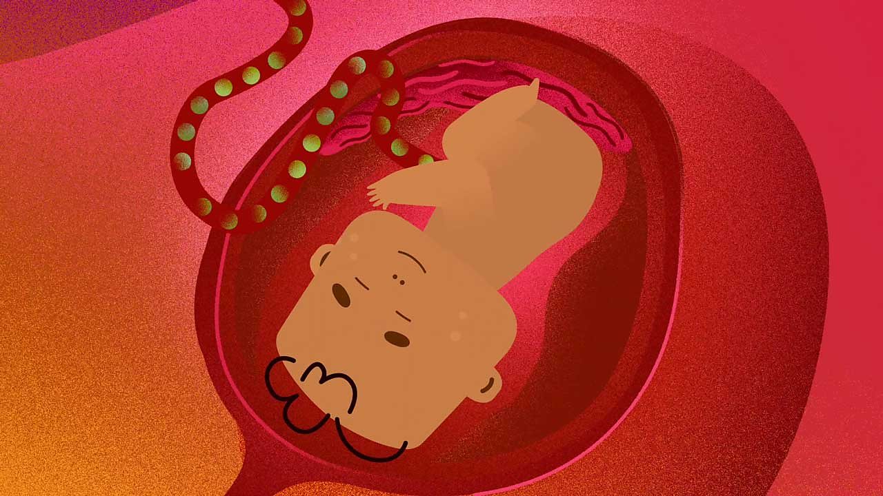 Cartoon baby in the womb.