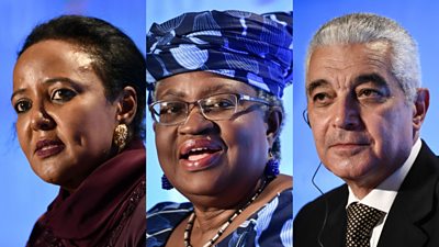 WTO director-general African candidates