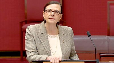 Concetta Fierravanti-Wells speaks in the Senate