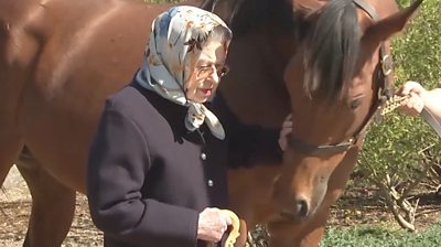 The Queen stroking a horse