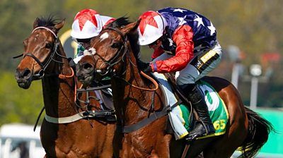 Jack Tudor on Kitty's Light (red/blue) to win the 2023 Gold Cup Handicap Chase at Sandown Park.