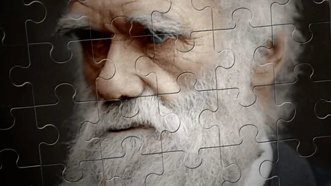 Have we misunderstood Darwin?