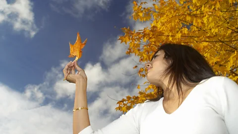 Woman holiding leaf up to sky
