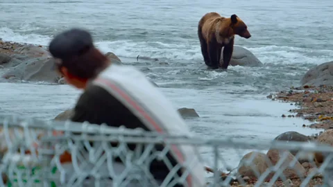 The island where humans live alongside brown bears