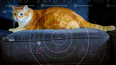Space lasers beamed this cat video from 19 million miles away