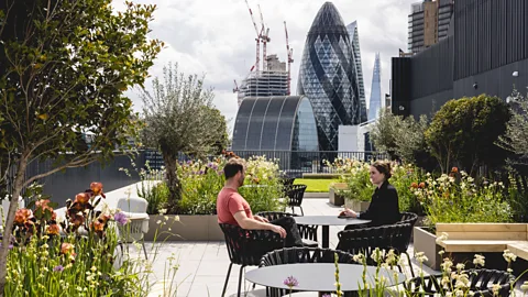 Rooftop terrace at 280 Bishopsgate for Arax Properties in London (Credit: Billy Bolton)