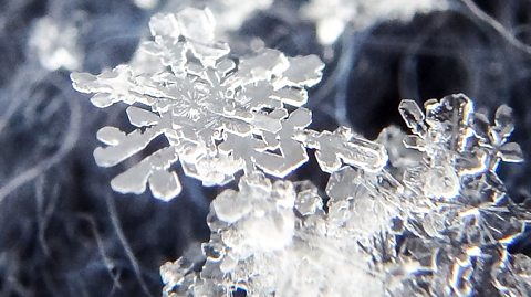 Why are all snowflakes unique?