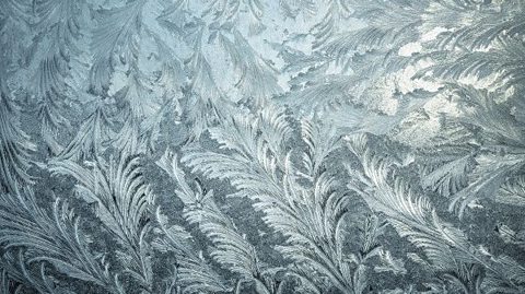 A leafy frost pattern on glass.