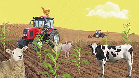 How has farming changed over time?