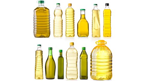 Multiple bottles of cooking oil of various shapes, sizes and varieties. 