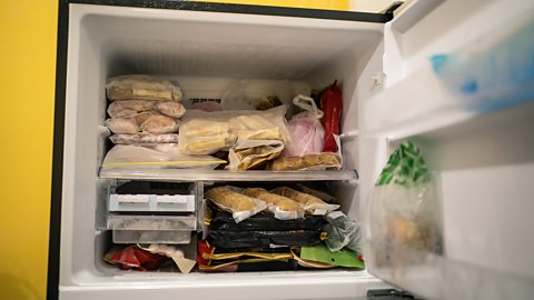Small freezer filled with pre-made food