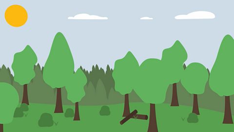 Illustration of a landscape scene including the sun, blue sky, and trees.