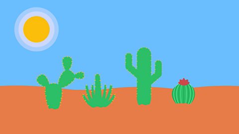 Illustration of a desert.