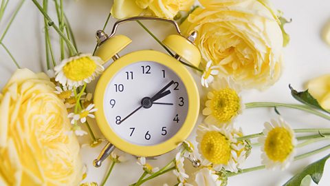 A yellow alarm clock on a background filled with yellow flowers.