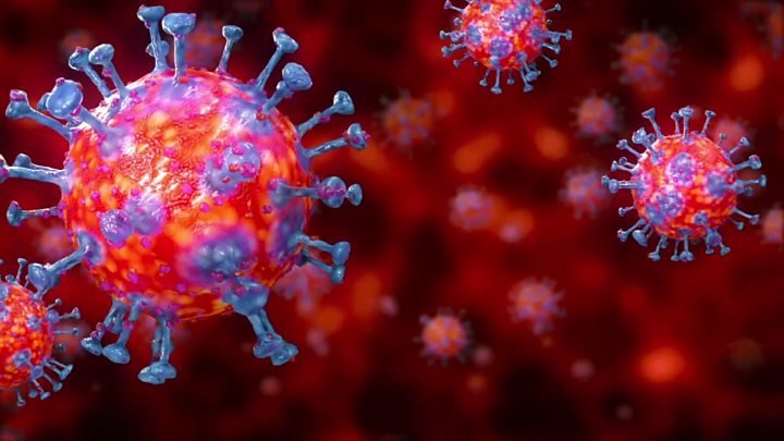 Новый вирус - один из семи представителей семейства коронавирусов, опасных для человека.
