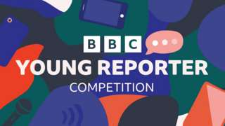 young reporter logo