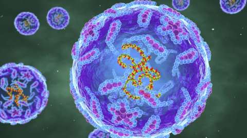 Image shows polio virus particles