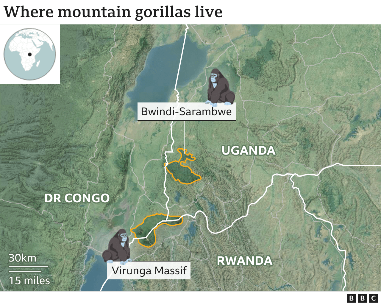 Map: Where mountain gorillas live