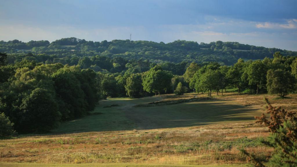Ashdown Forest in East Sussex
