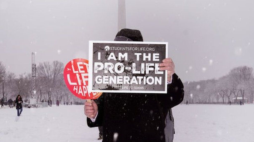 A marcher in Washington DC