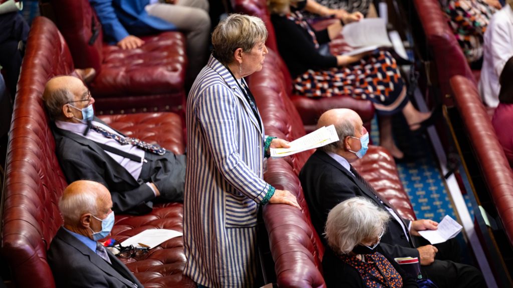 Baroness Massey in the House of Lords