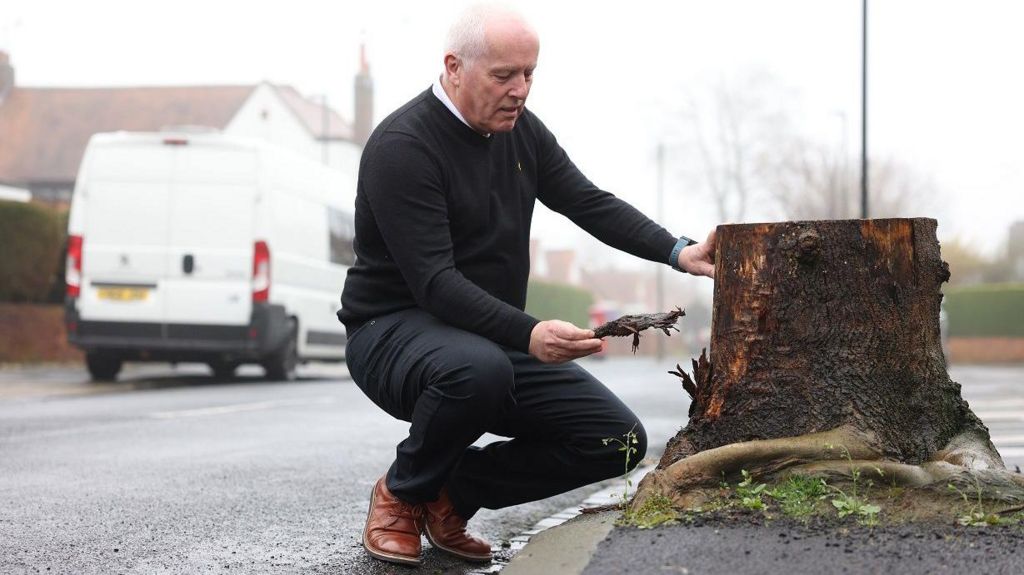 Drew Hayes inspects the tree stump in Monkseaton