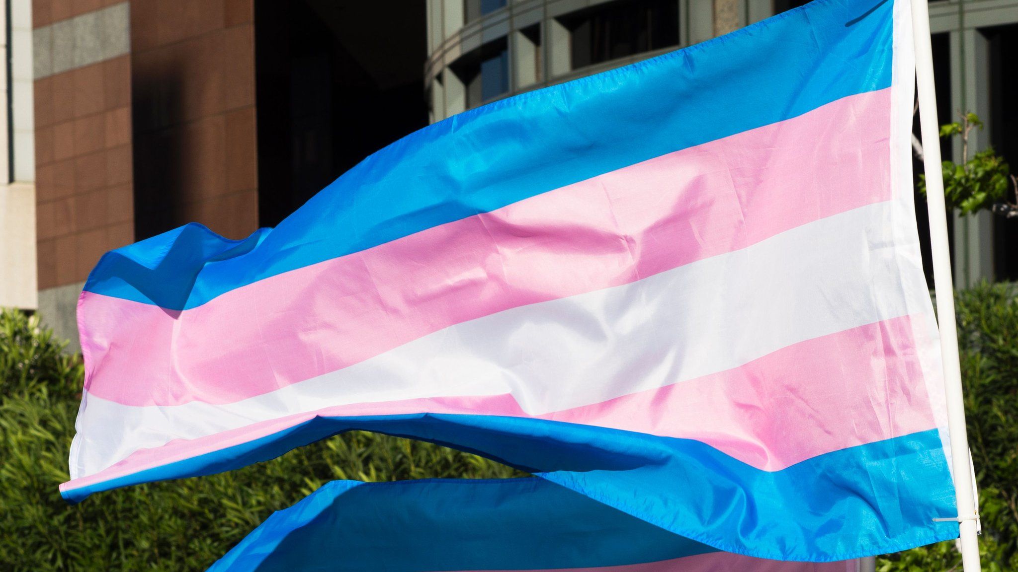 File photo showing trans pride flag at the Edward R. Roybal Federal Building in Los Angeles, California (31 March 2017)