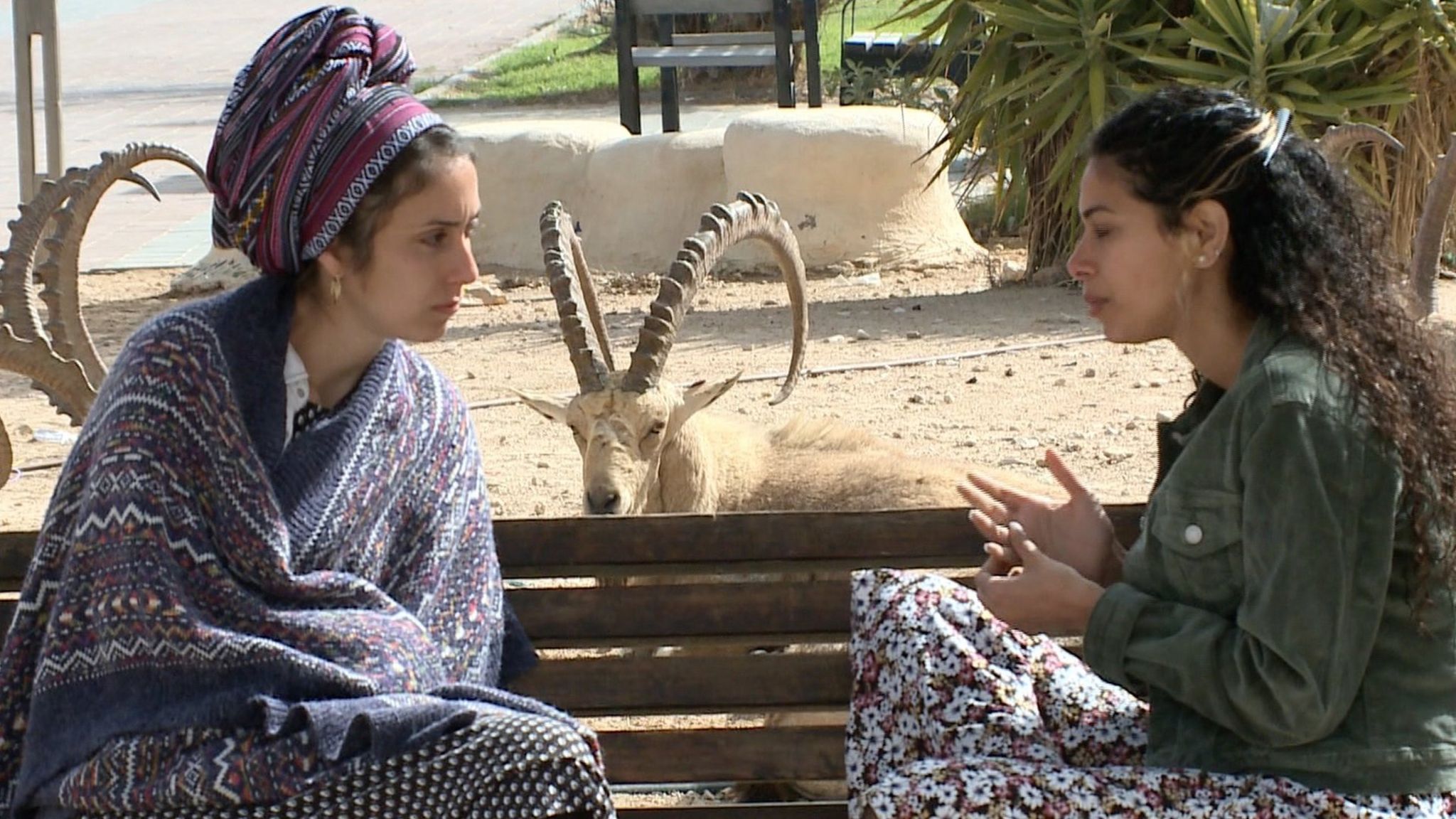 Two women on a bench in front of ibex in Mitzpe Ramon